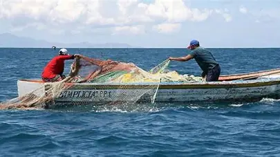 SECTOR ATUNERO TUVO $145 MILLONES DE UTILIDADES