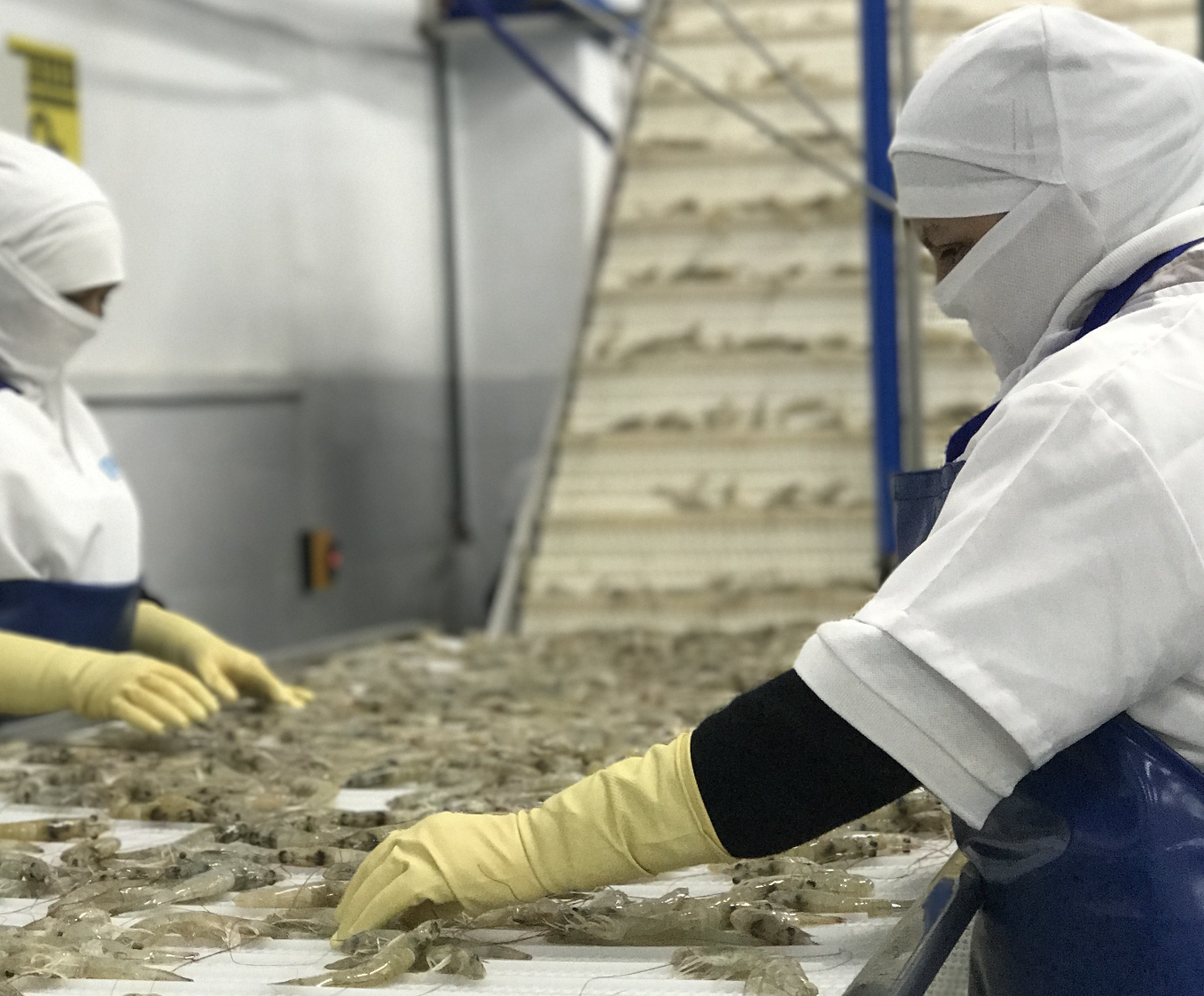 CREDITOS PARA EMPRENDEDORAS  PAGARAN INTERESES DEL 9.80%